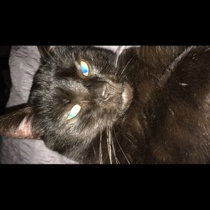 Meet your Posher, Cassie