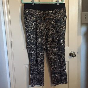 Loft Dress Capri Pant