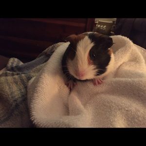 Meet your Posher, Jennifer