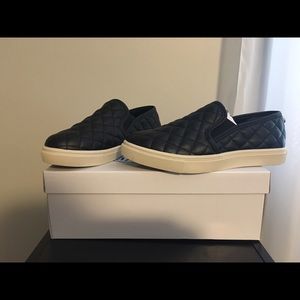 Steve Madden slip on sneaker