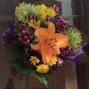 Meet your Posher, Ash