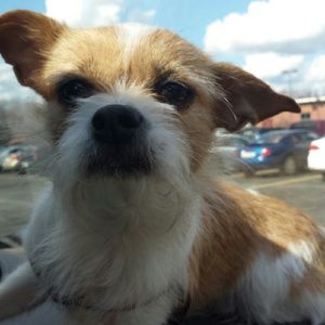 Meet your Posher, Cathy