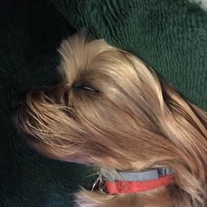 Meet your Posher, Debbie