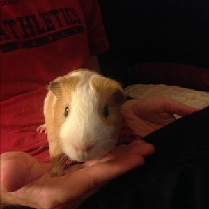 Meet your Posher, Jess