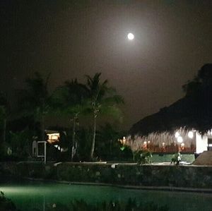 Meet your Posher, Ivette