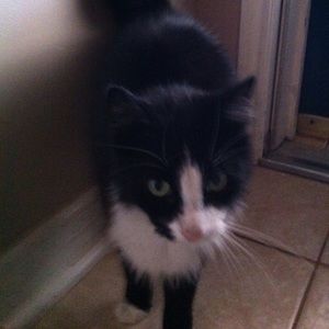 Meet your Posher, Dinah