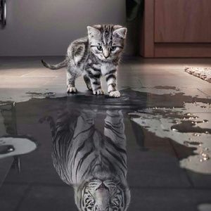 Meet your Posher, Alice