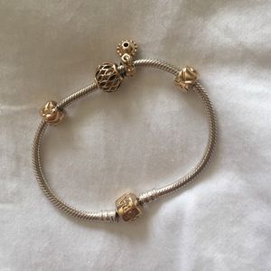 Pandora bracelet
