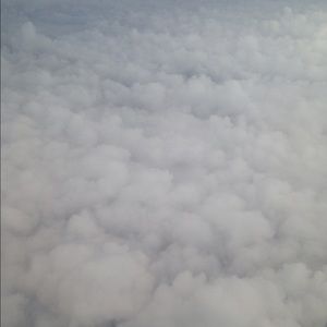 Meet your Posher, Daysha