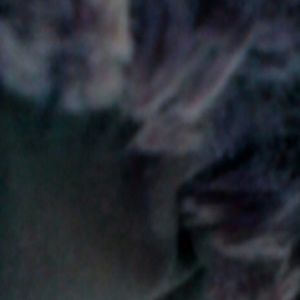 Meet your Posher, Natasha