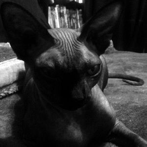 Meet your Posher, Ana