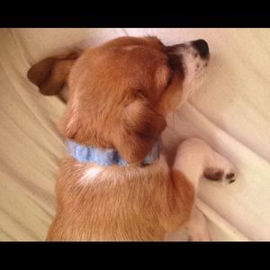 Meet your Posher, Lili