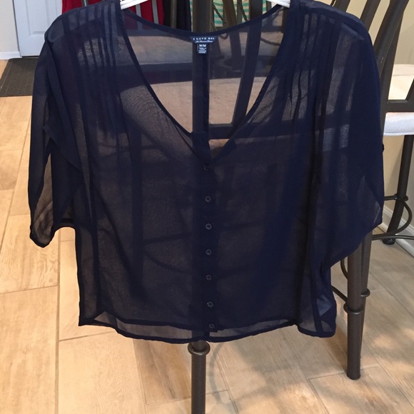 Sheer, blue, short sleeve button down blouse