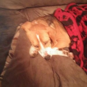 Meet your Posher, Wendy