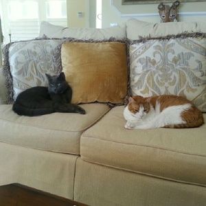 Meet your Posher, Jackie