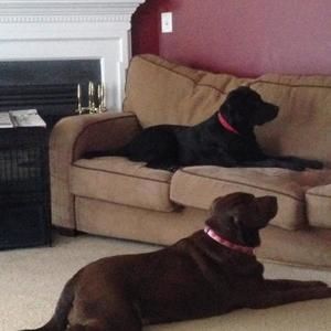 Meet your Posher, Jackie