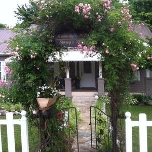 Meet your Posher, Ronnie