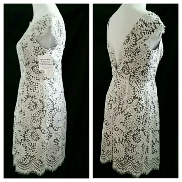 Ivory Lace Dress - Picture 3 of 4