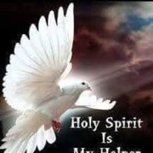 Meet your Posher, Sherenda