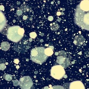 Meet your Posher, Yliana