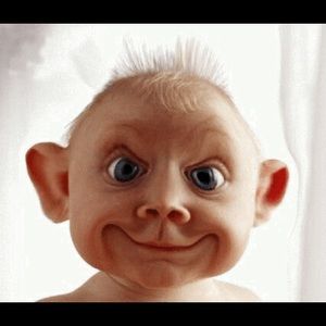 Meet your Posher, Patrick