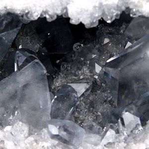 Meet your Posher, Isabella