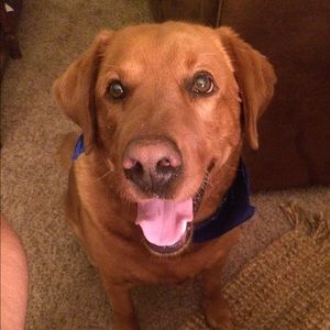 Meet your Posher, Blair