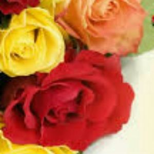 Meet your Posher, Mandeep