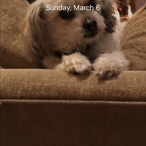 Meet your Posher, Janet