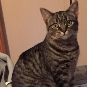 Meet your Posher, Hillary