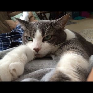 Meet your Posher, Chloe