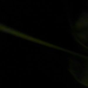 Meet your Posher, Franchon