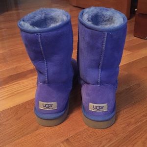 Royal blue UGGS