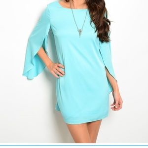NWT Pink Owl Aqua Dress