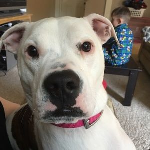 Meet your Posher, Cheryl