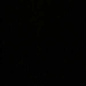 Meet your Posher, Savannah