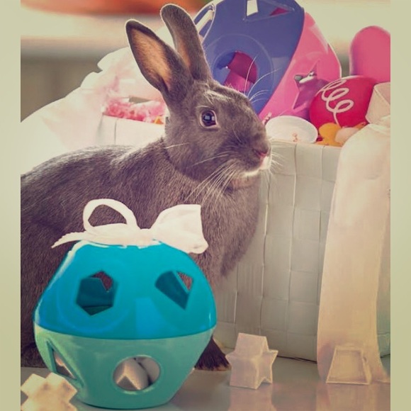 Tupperware Ball