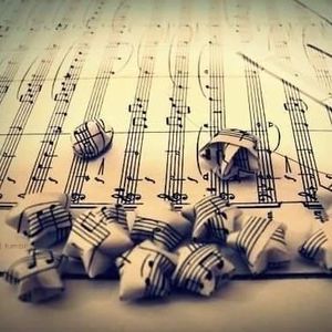 Meet your Posher, Ebony