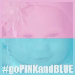 Meet your Posher, Misty