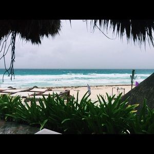 Meet your Posher, Alexa