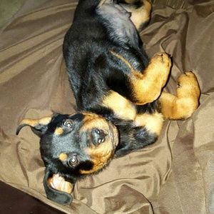 Meet your Posher, Dalena