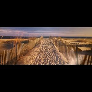 Lithographic Photography Art Print Decor