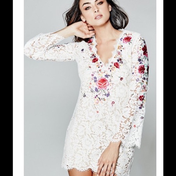 Embroidered Lace Dress