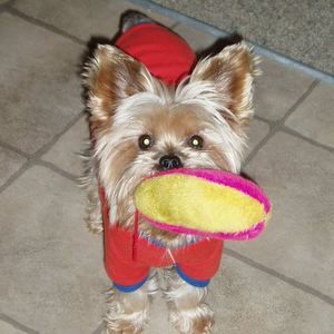 Meet your Posher, Sherrie