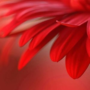 Meet your Posher, Aida