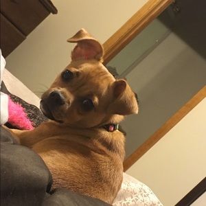 Meet your Posher, Shanna