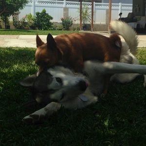 Meet your Posher, Jess