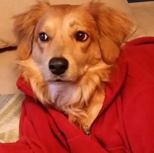 Meet your Posher, Steven