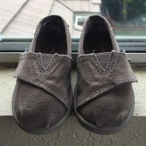 Gray baby Toms