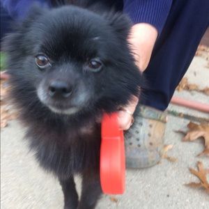 Meet your Posher, Jamie